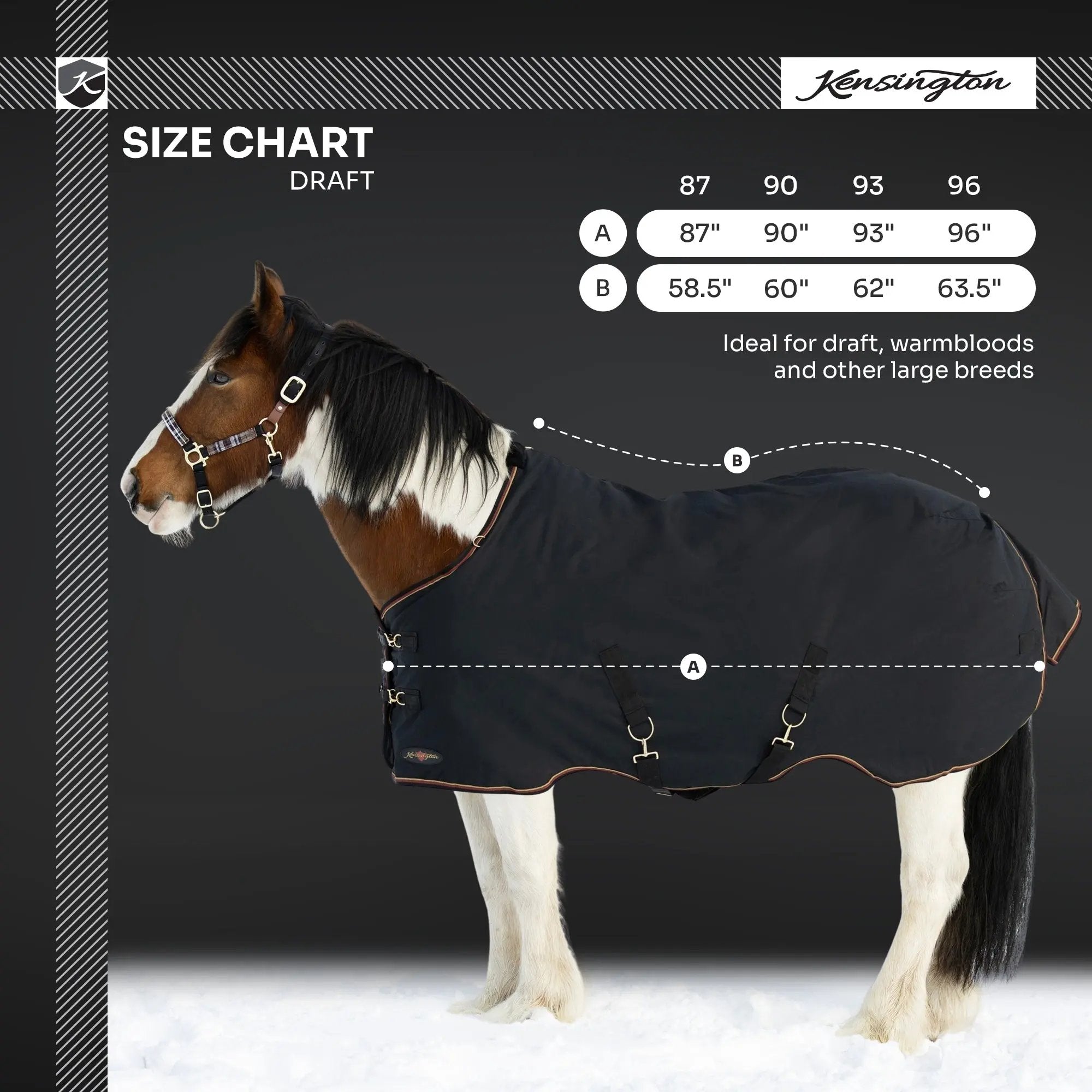 1200D 300G Heavy Weight Waterproof & Breathable Draft Winter Turnout Blanket - Equine Exchange Tack Shop