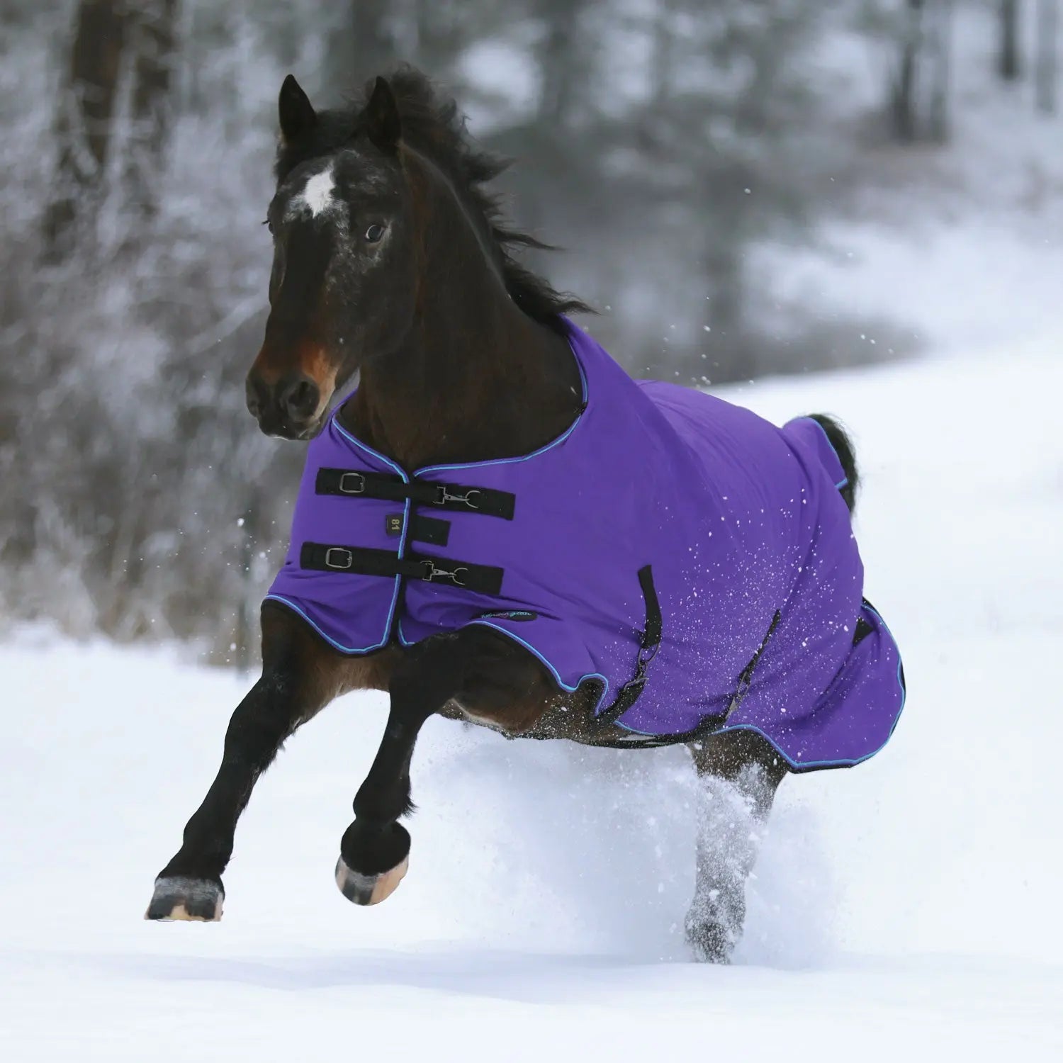 1200D 300G Heavy Weight Waterproof & Breathable Winter Turnout Blanket - Equine Exchange Tack Shop