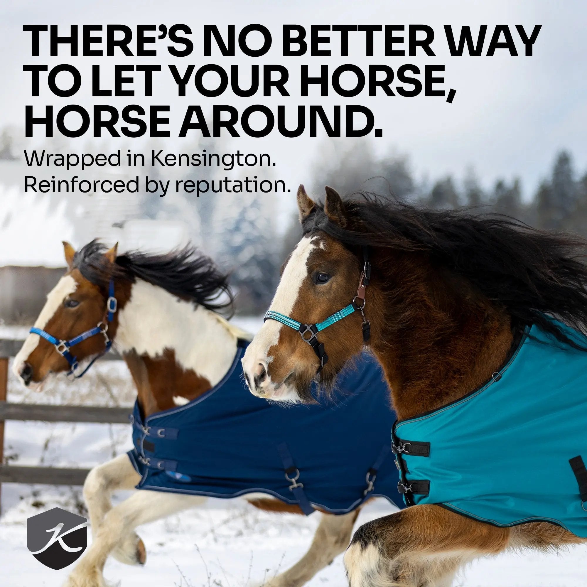 1200D 300G Heavy Weight Waterproof & Breathable Winter Turnout Blanket - Equine Exchange Tack Shop