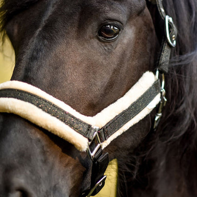 Jade Green Halter - Equine Exchange Tack Shop