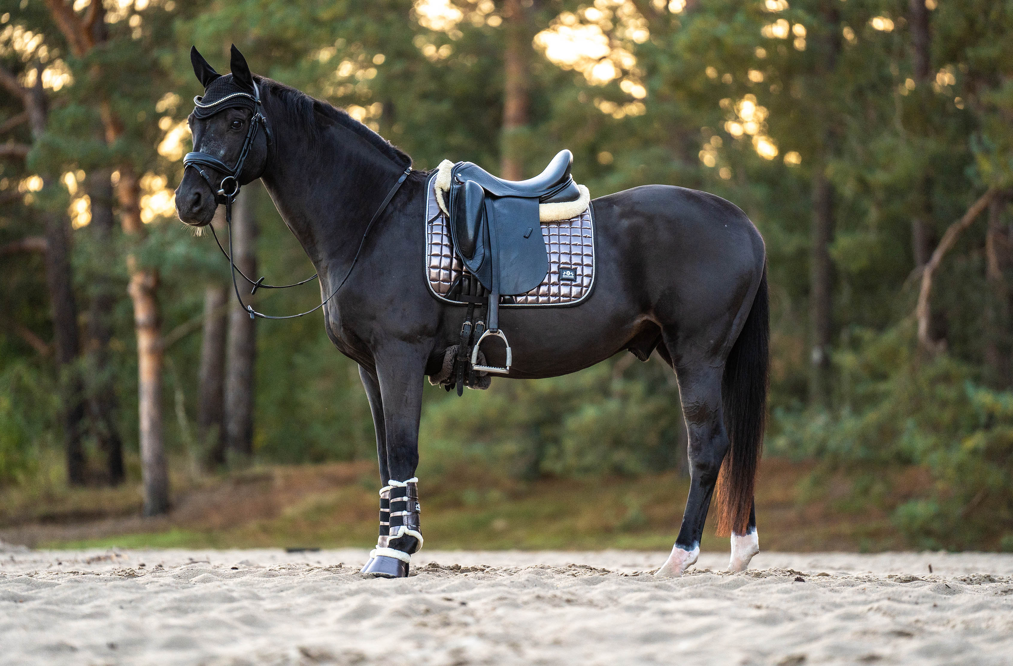 Spaceship Grey Saddle Pad - Equine Exchange Tack Shop