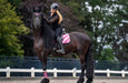 Neon Pink Brushing Boots - Equine Exchange Tack Shop