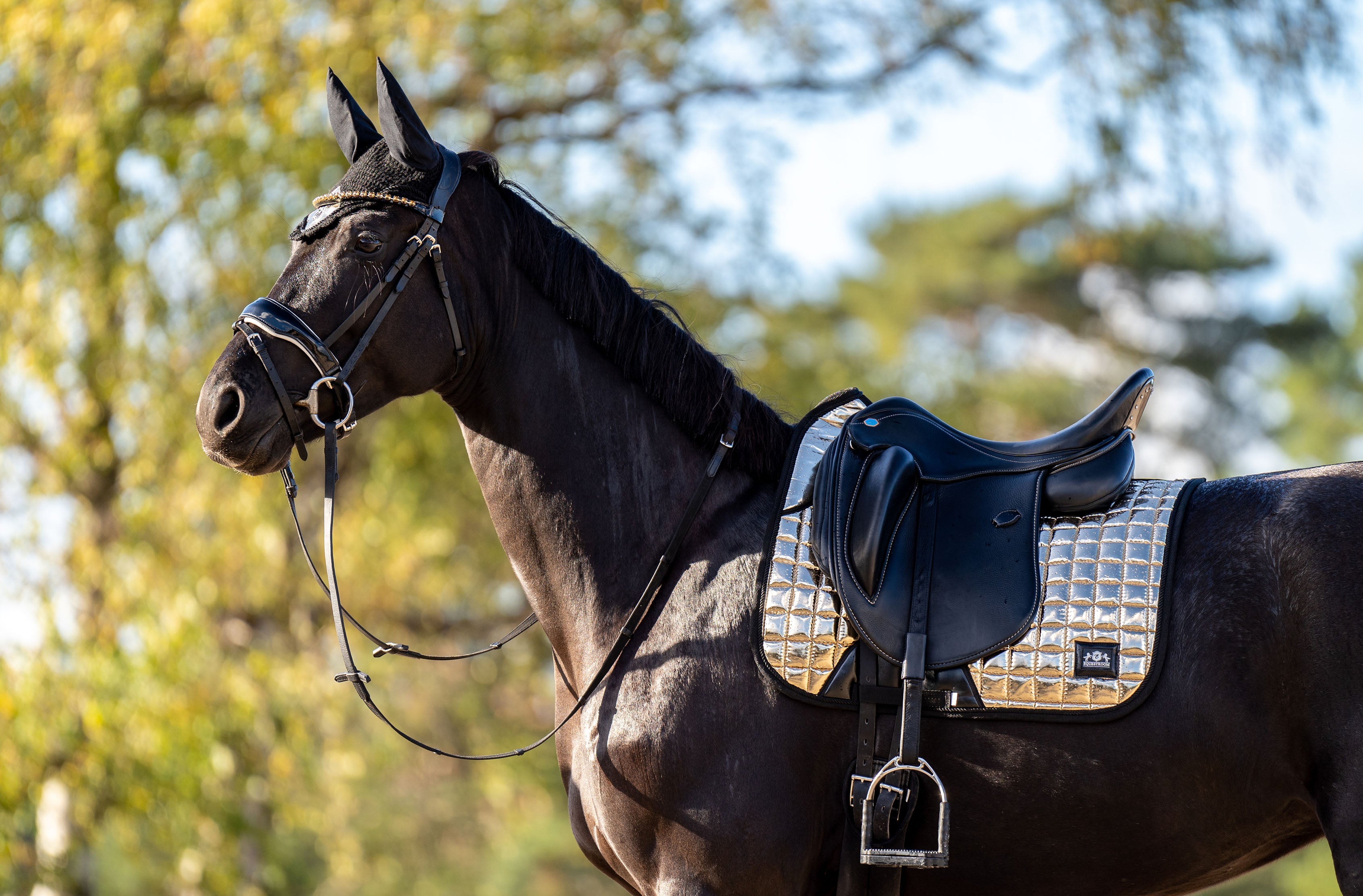 Aurum Saddle Pad Set - Equine Exchange Tack Shop