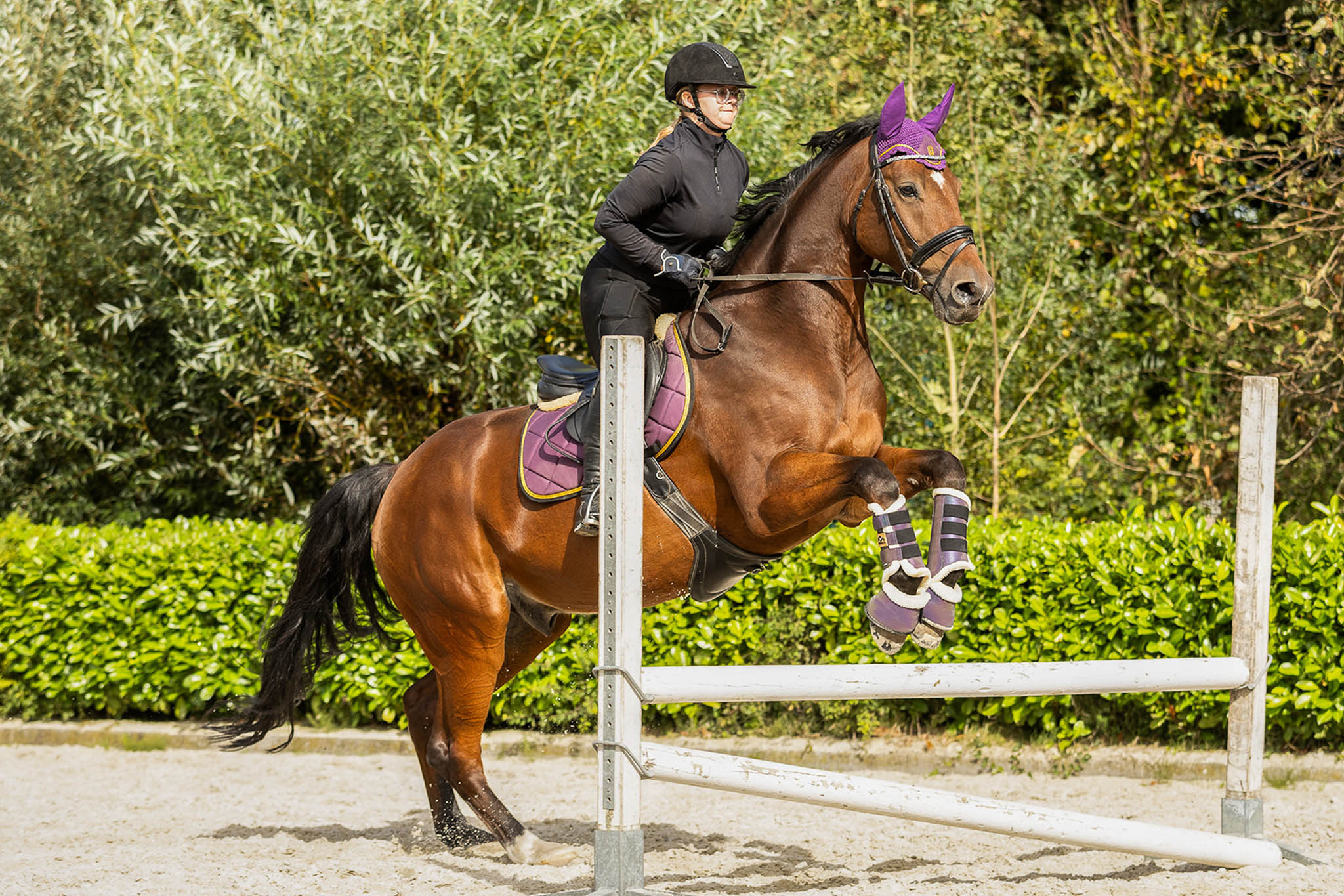 Dark Orchid Bell Boots - Equine Exchange Tack Shop