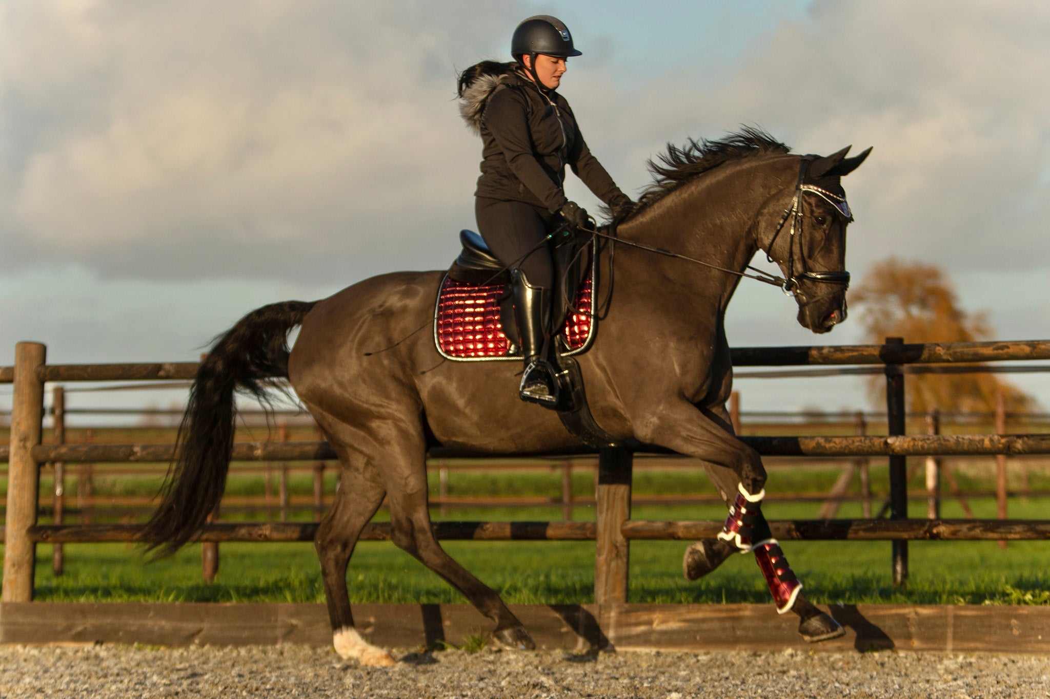 Electric Red Saddle Pad - Equine Exchange Tack Shop