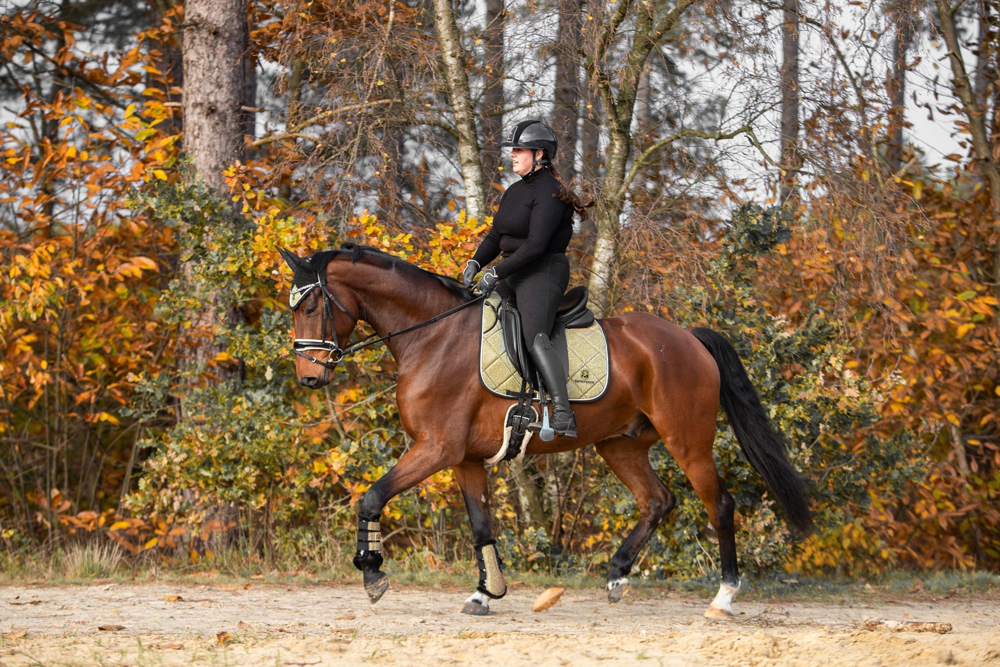 Astris Saddle Pad Set - Equine Exchange Tack Shop