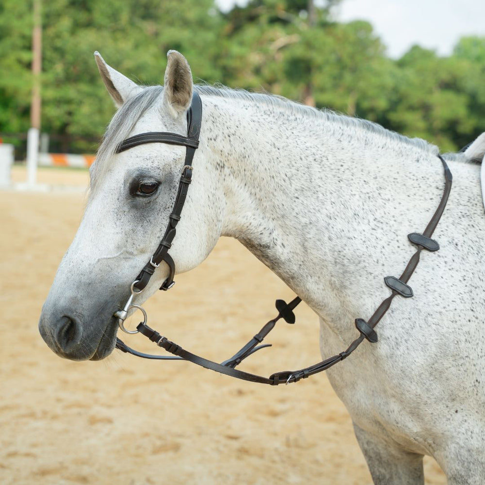 Aaron Vale Rein with 3 Slim Hand Grips - Equine Exchange Tack Shop