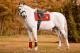 Scarlet Red Brushing Boots - Equine Exchange Tack Shop