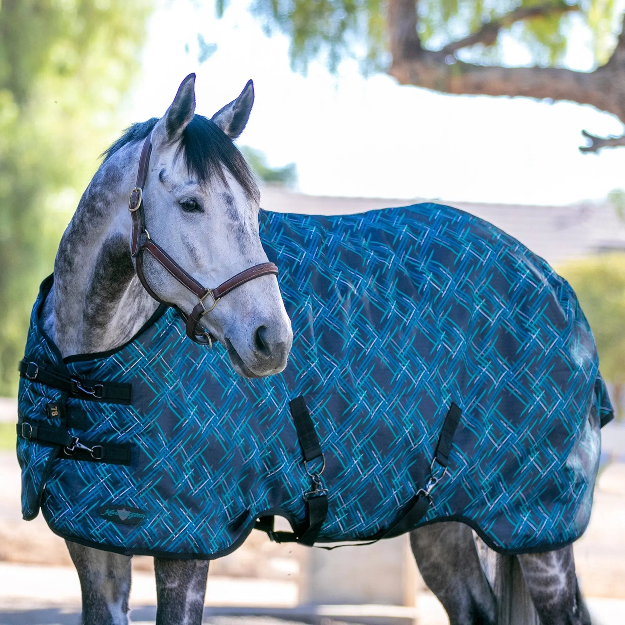 1200D 80G Light Weight Waterproof & Breathable Winter Turnout Blanket - Equine Exchange Tack Shop