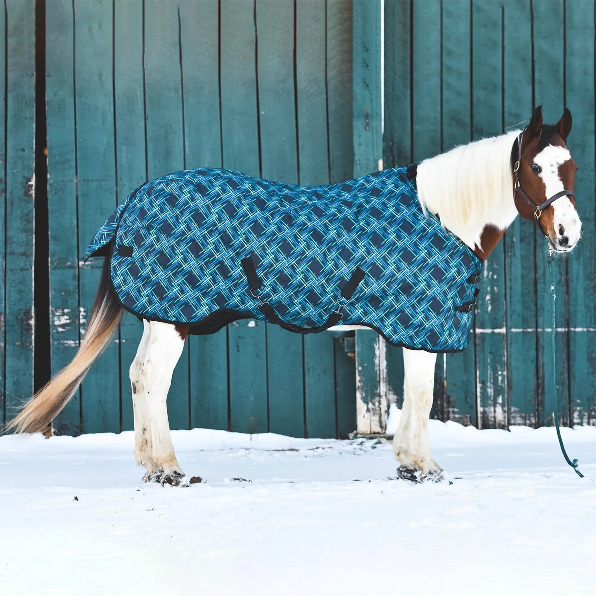 1200D 180G Medium Weight Waterproof & Breathable Winter Turnout Blanket - Equine Exchange Tack Shop