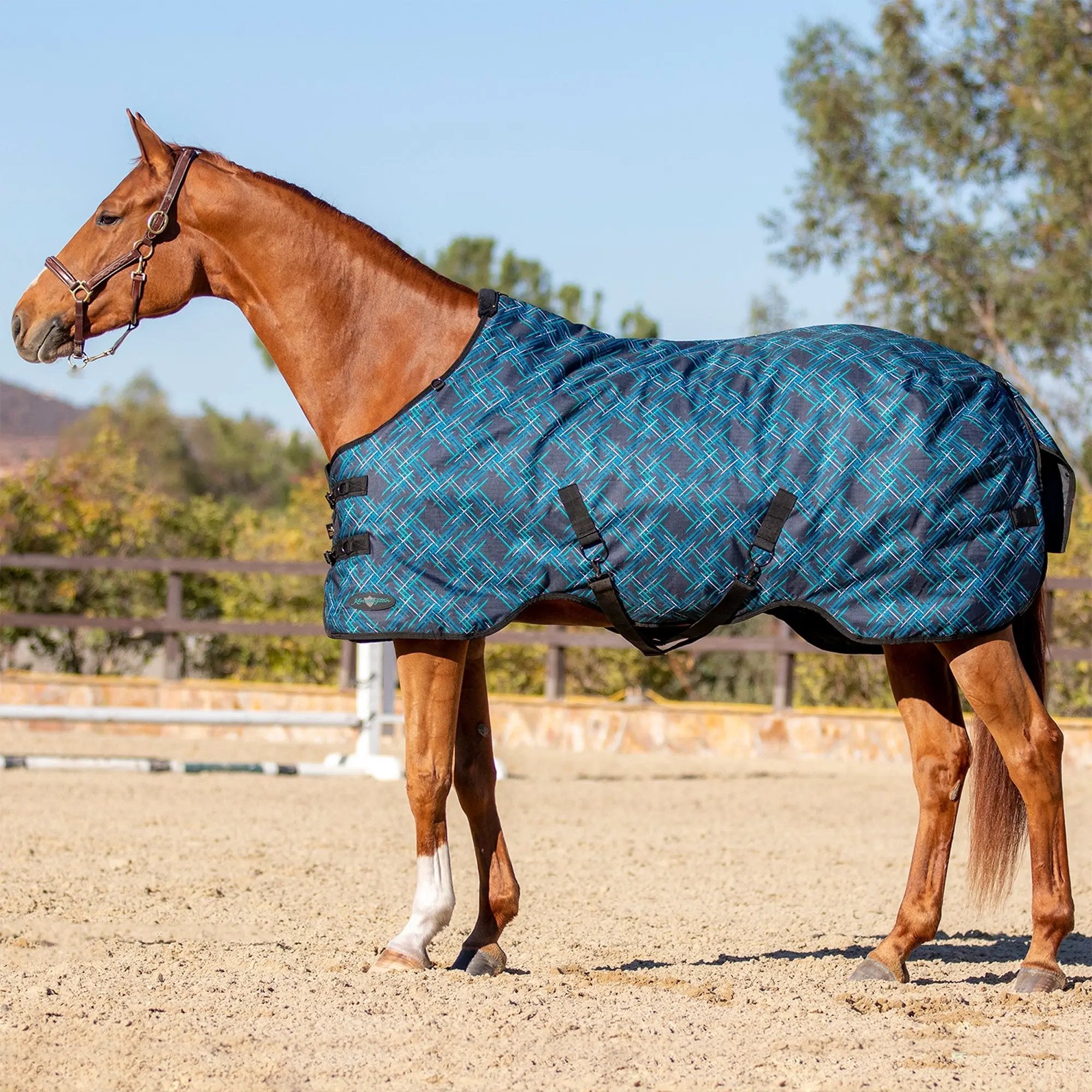 1200D 80G Light Weight Waterproof & Breathable Winter Turnout Blanket - Equine Exchange Tack Shop