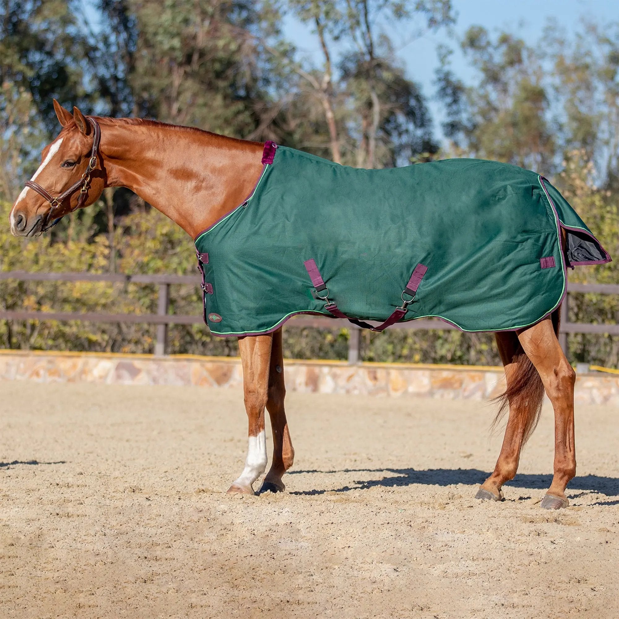 1200D 80G Light Weight Waterproof & Breathable Winter Turnout Blanket - Equine Exchange Tack Shop