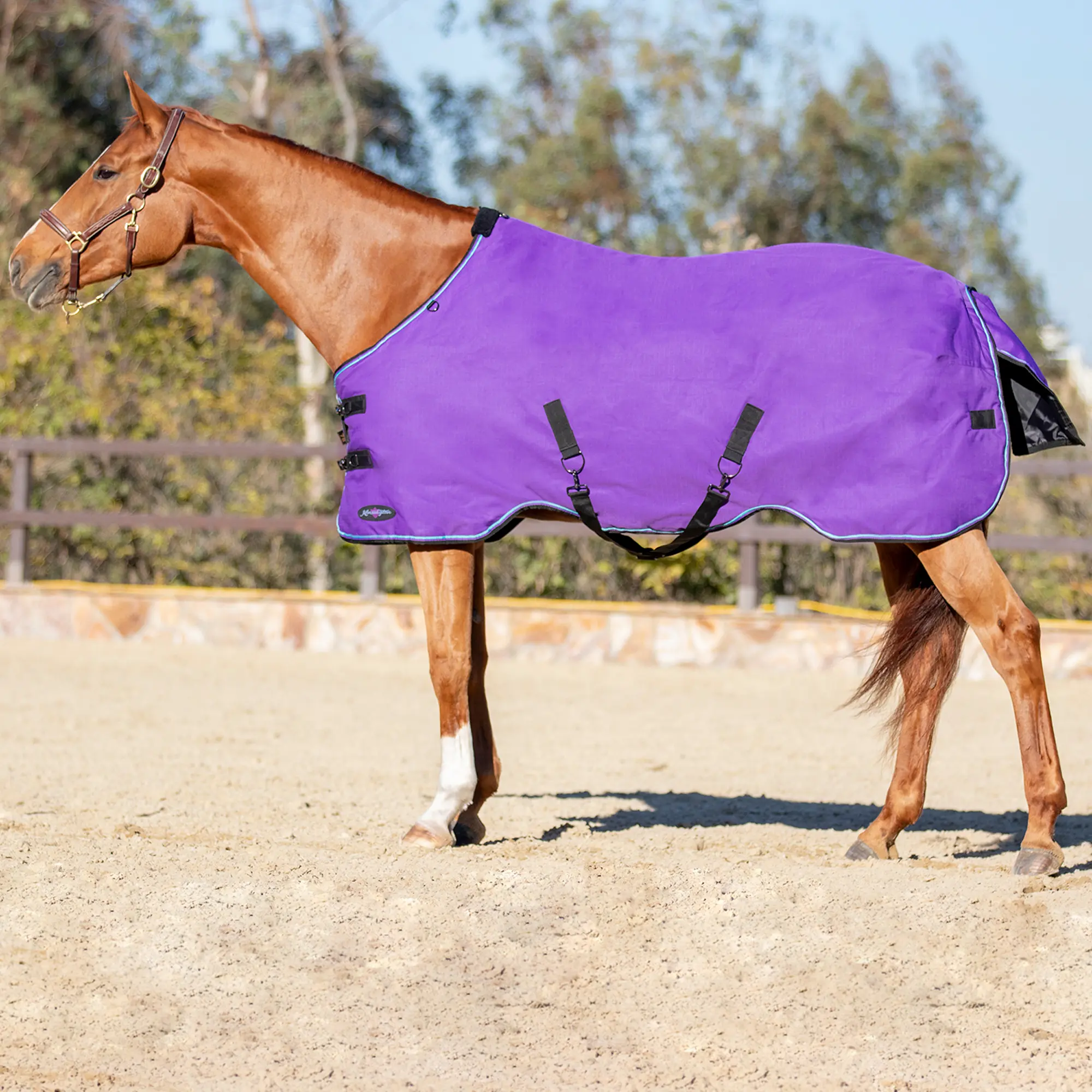 1200D 80G Light Weight Waterproof & Breathable Winter Turnout Blanket - Equine Exchange Tack Shop