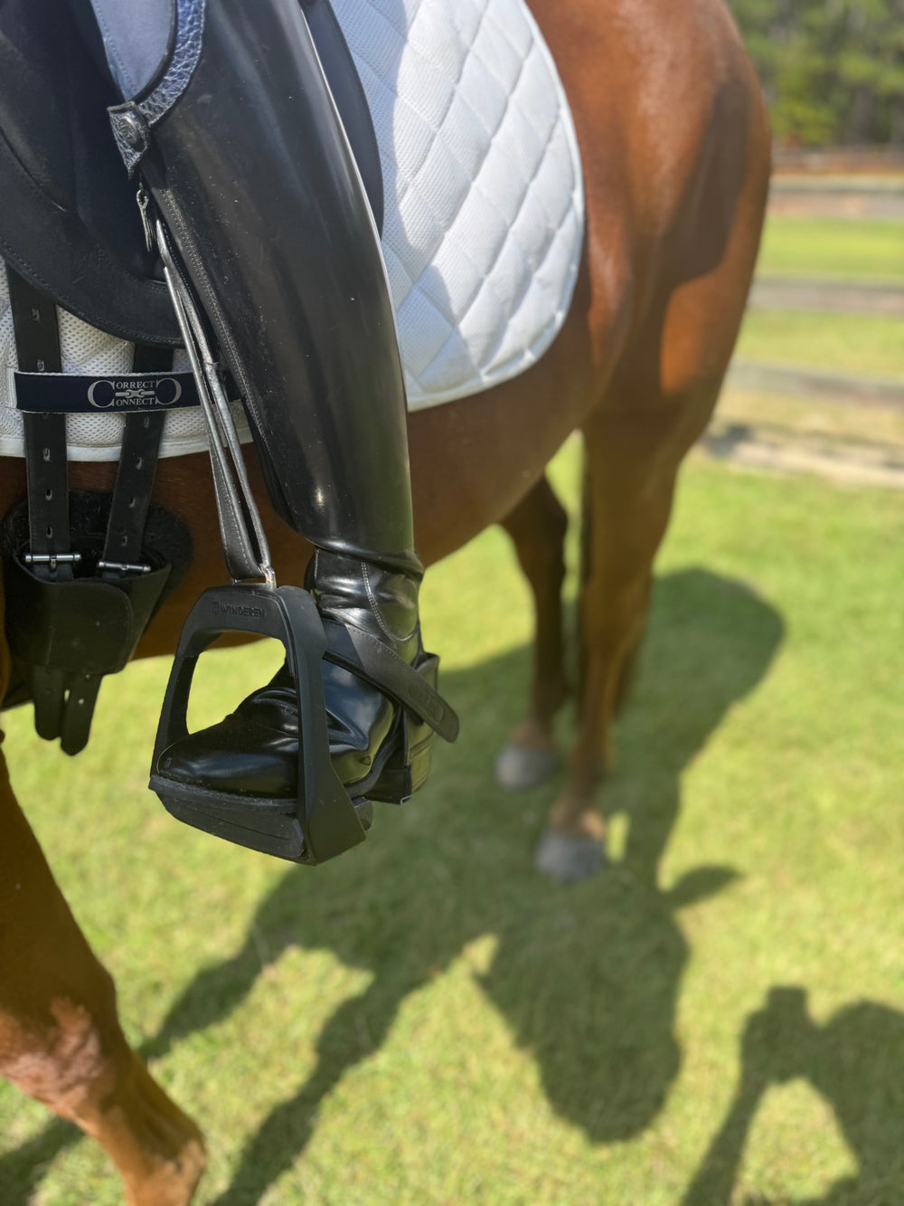 Equisole EXternal-Weighted Training Aid for Equestrians - Equine Exchange Tack Shop
