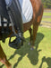 Equisole EXternal-Weighted Training Aid for Equestrians - Equine Exchange Tack Shop