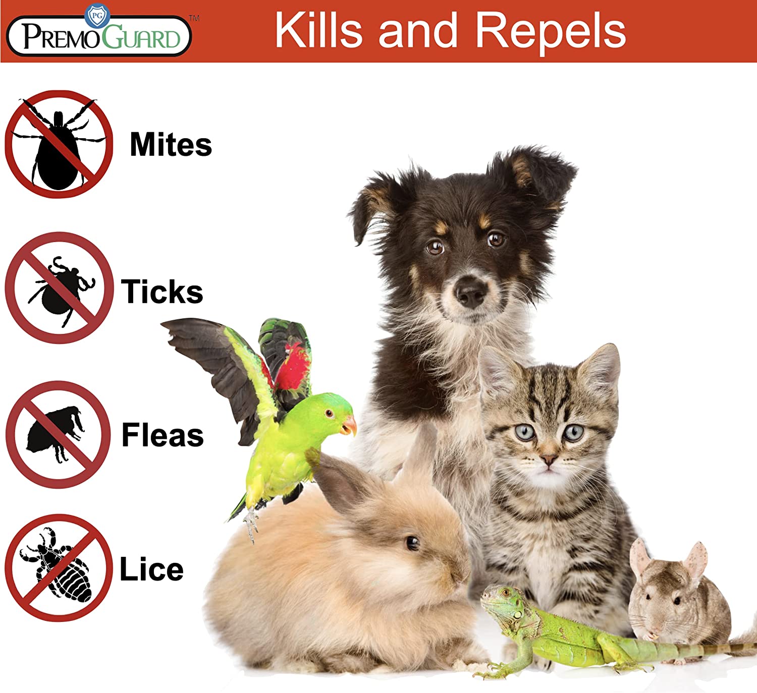 Plant Based All Natural Non-Toxic Flea & Tick Spray  