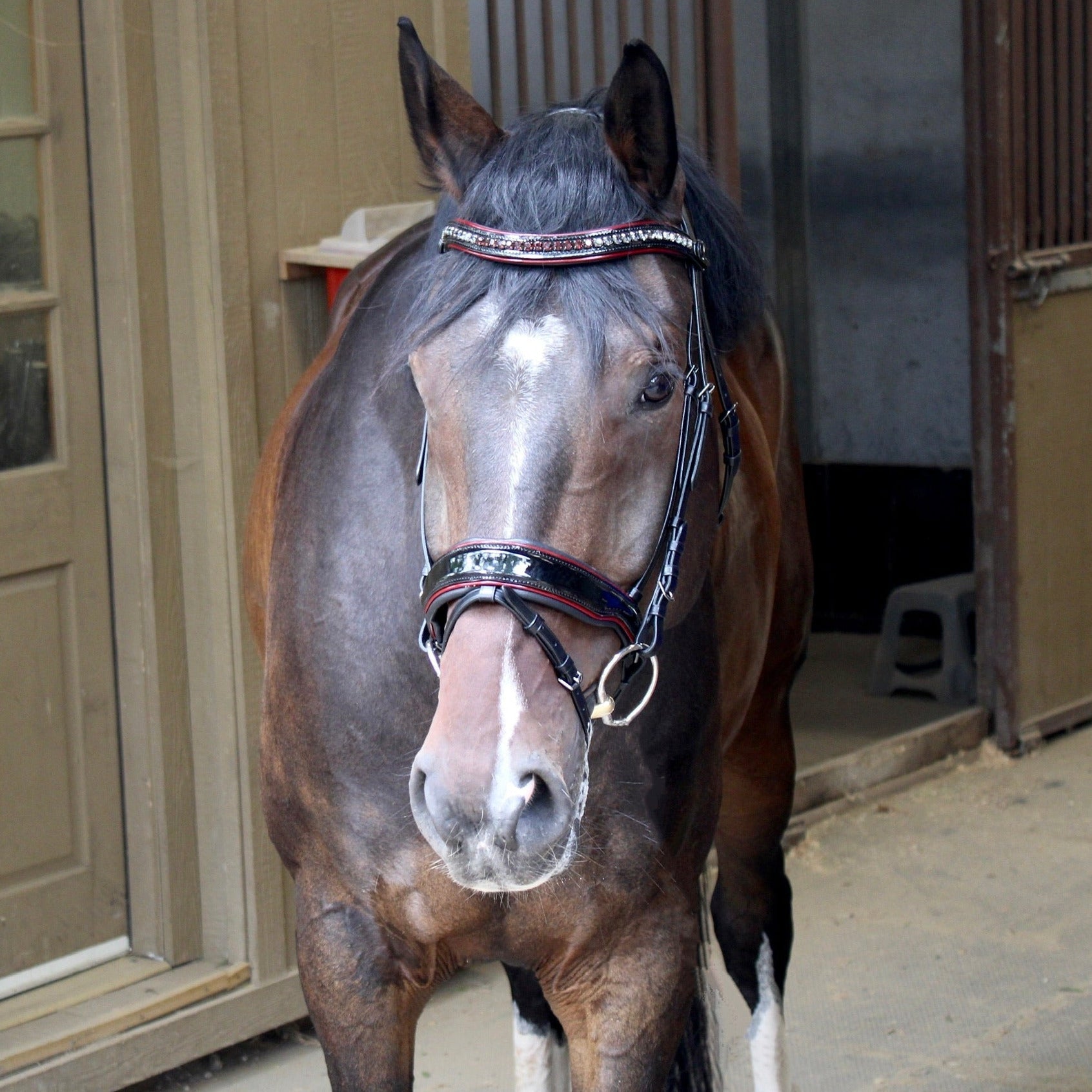 The Hayworth - Black Patent Snaffle with Burgundy Patent Piping & Removable Flash - Equine Exchange Tack Shop
