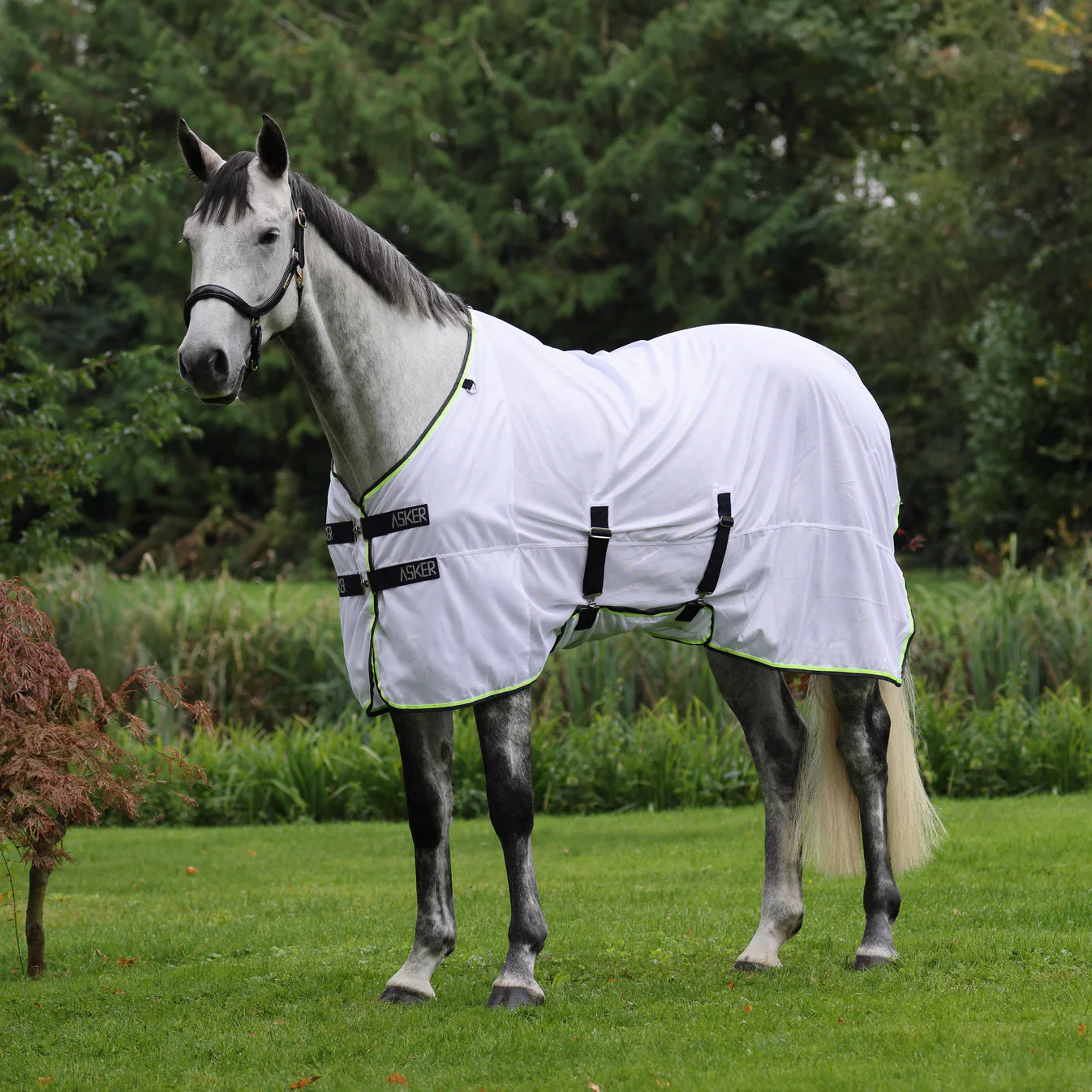 Shire's Asker Fly Sheet