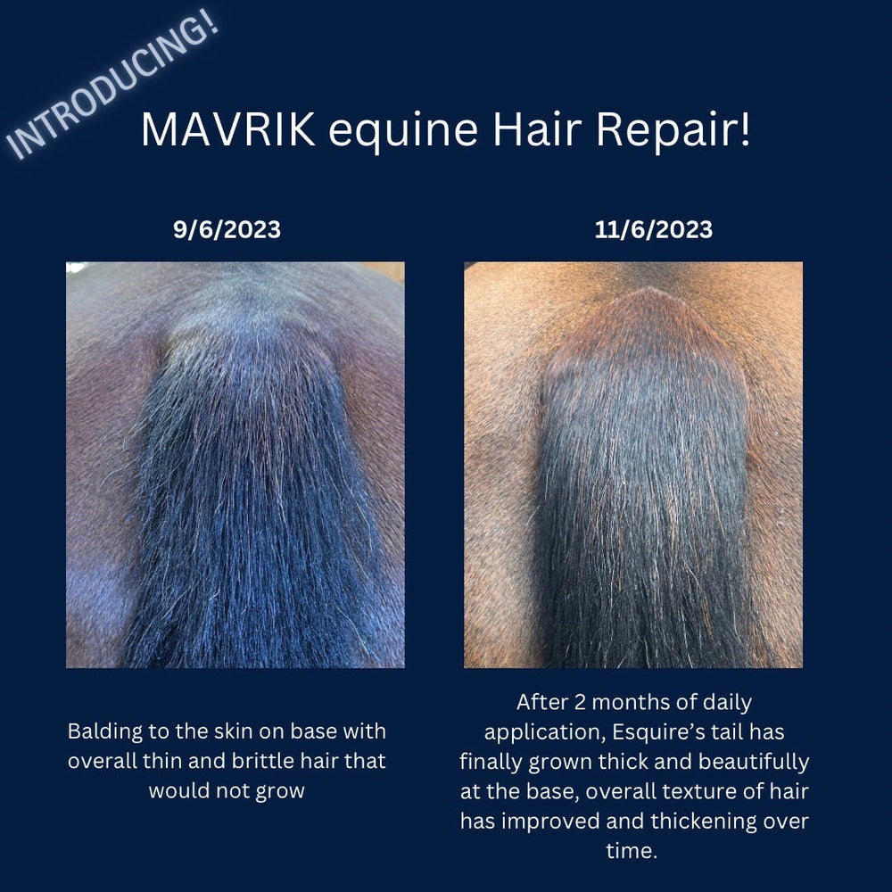 MAVRIK Hair, Coat and Scar Repair - Equine Exchange Tack Shop