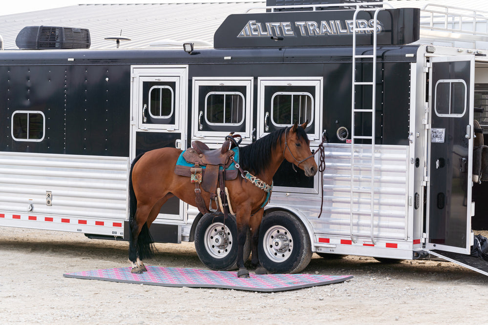 5x10ft Pink Squash Blossom - Equine Exchange Tack Shop