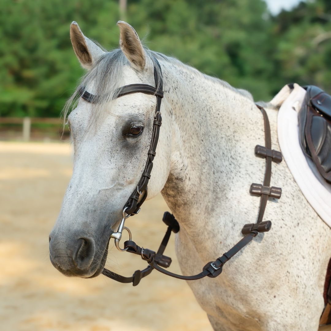 Aaron Vale Rein-3 Padded Hand Grips - Equine Exchange Tack Shop
