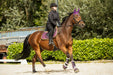 Dark Orchid Brushing Boots - Equine Exchange Tack Shop