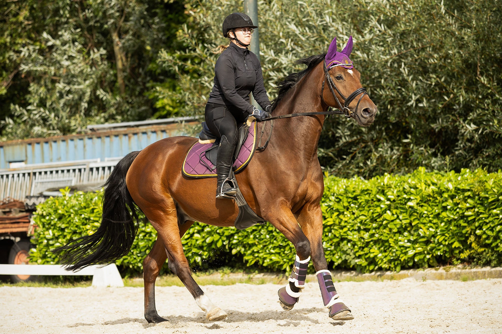 Dark Orchid Bell Boots - Equine Exchange Tack Shop