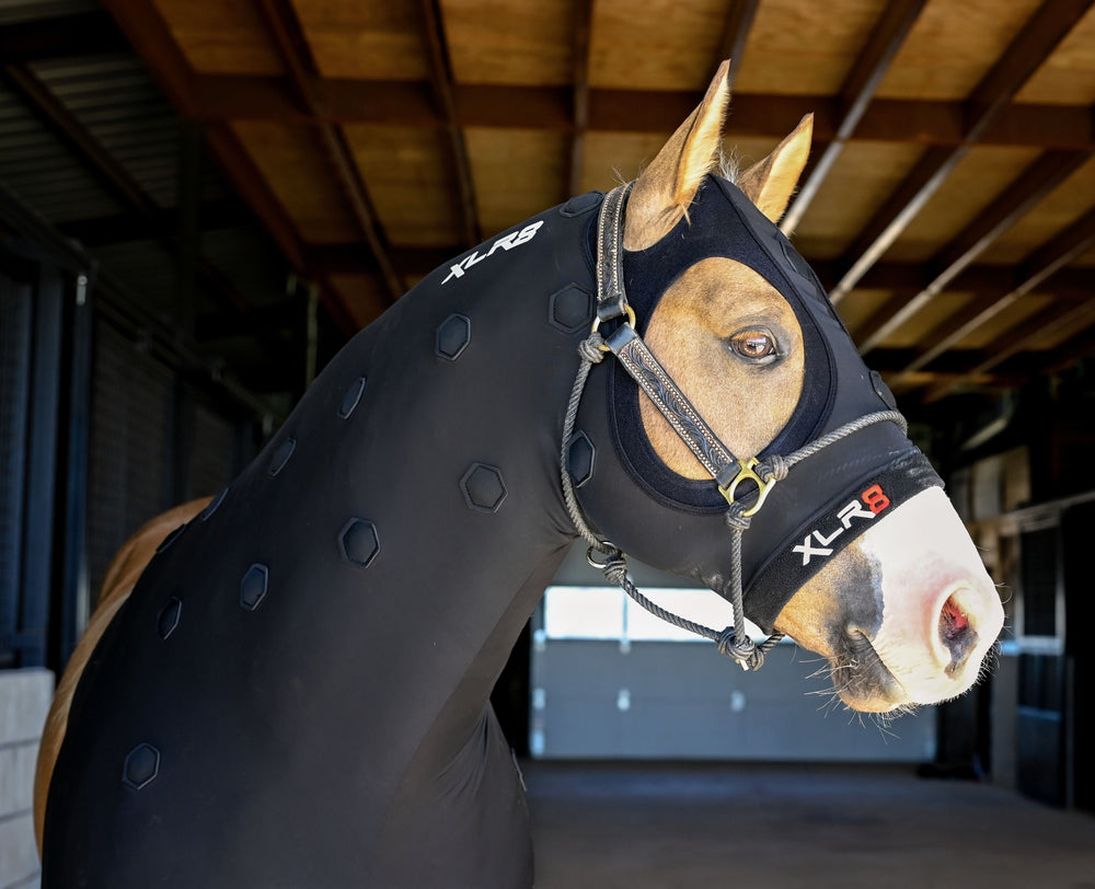 Velocity Hood - Equine Exchange Tack Shop