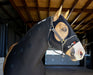 Velocity Hood - Equine Exchange Tack Shop