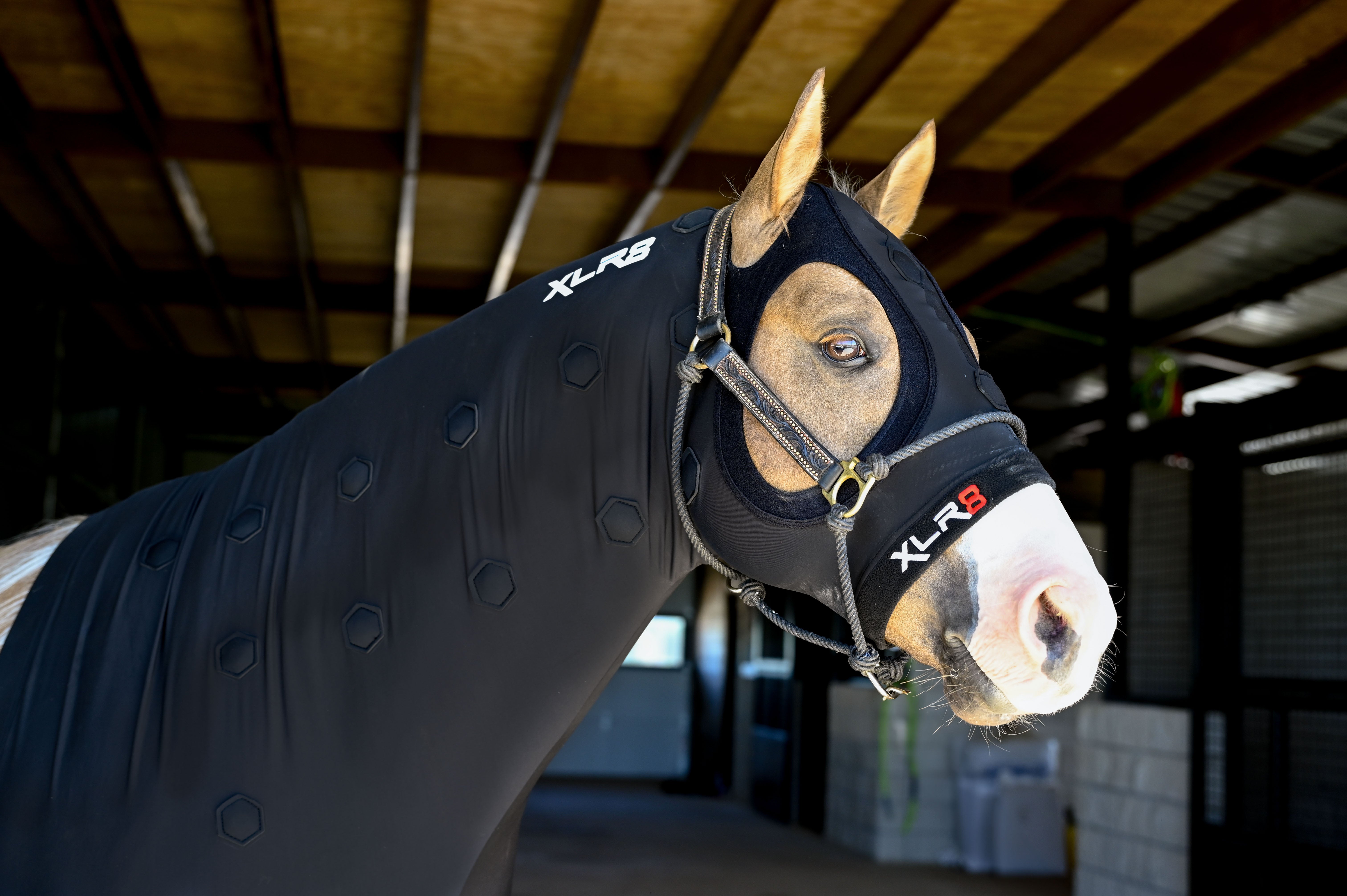 Velocity Hood - Equine Exchange Tack Shop