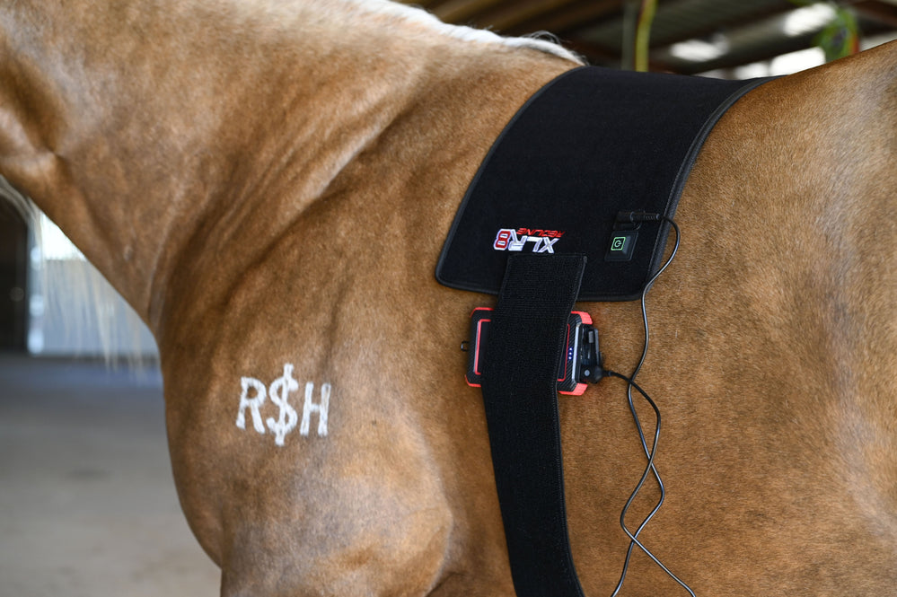 Redline VersaWrap - Equine Exchange Tack Shop