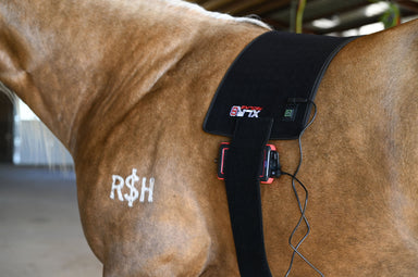 Redline VersaWrap - Equine Exchange Tack Shop