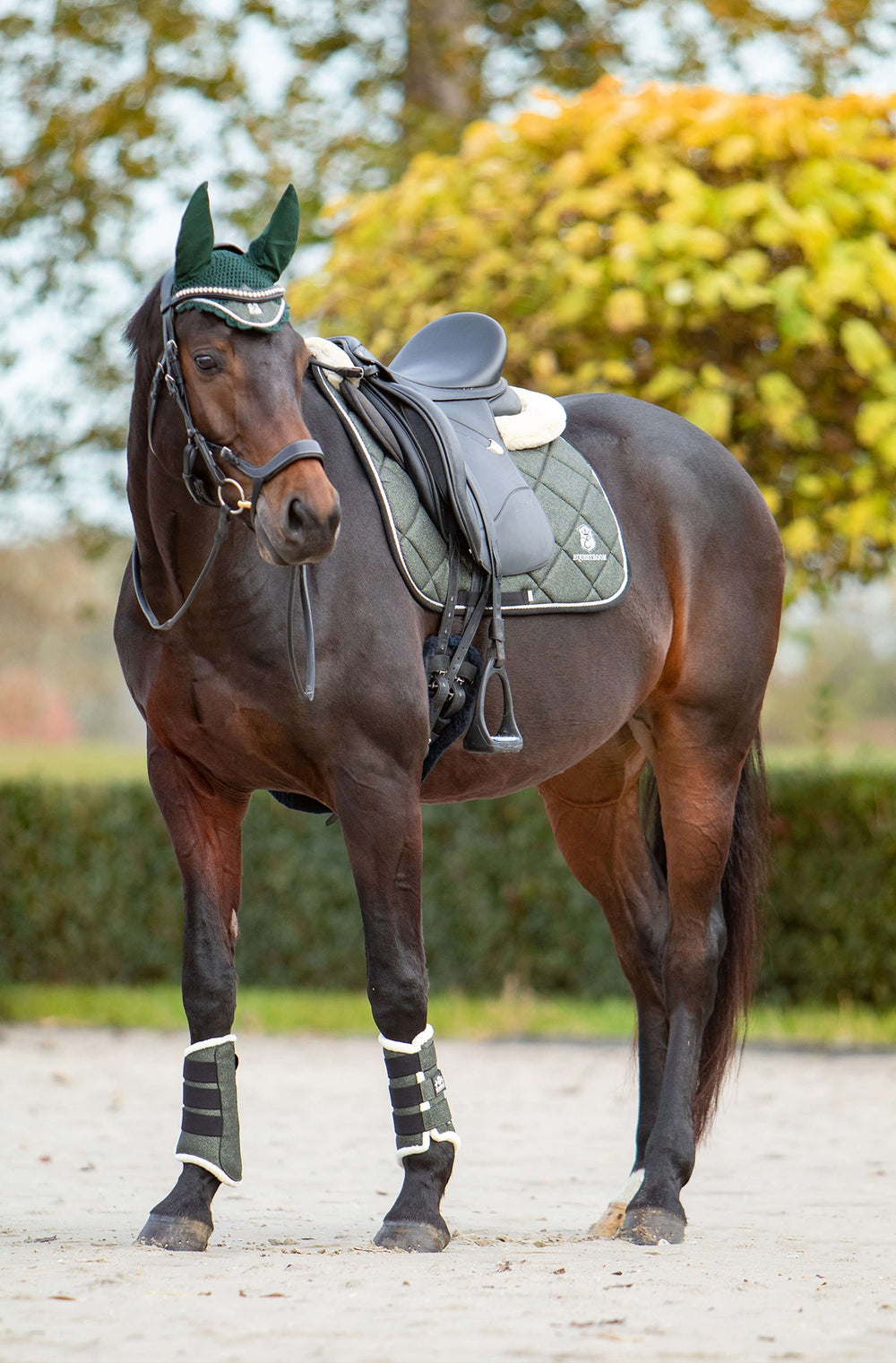 Jade Green Boots - Equine Exchange Tack Shop