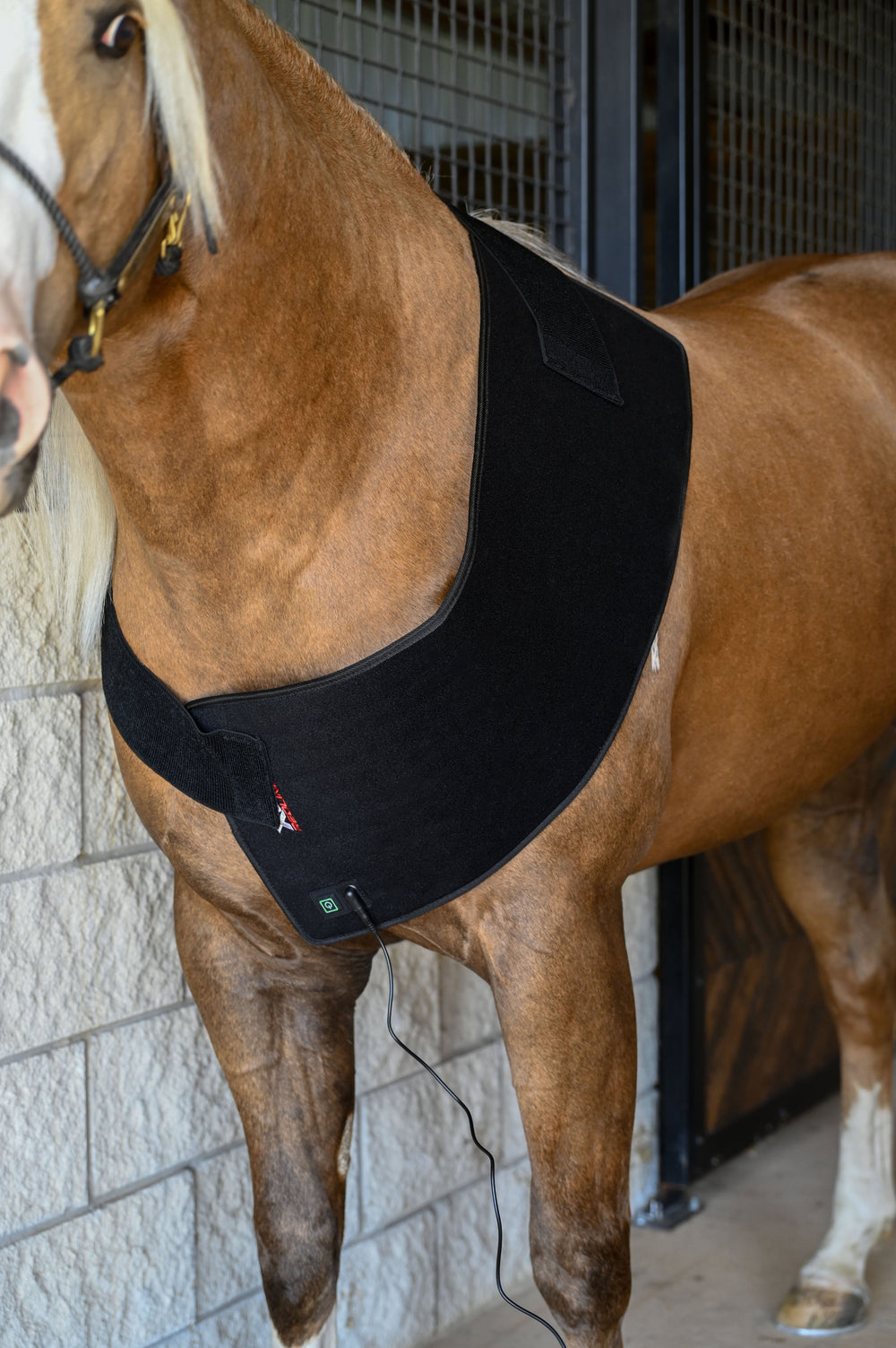 Redline VersaWrap - Equine Exchange Tack Shop