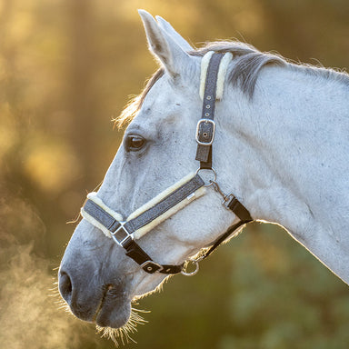 Stardust Grey Halter - Equine Exchange Tack Shop