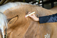 Ignite Handheld Therapy Light - Equine Exchange Tack Shop