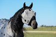 Fly Mask - Equine Exchange Tack Shop