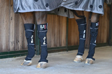 Cryo Boot : Ice Boots - Equine Exchange Tack Shop