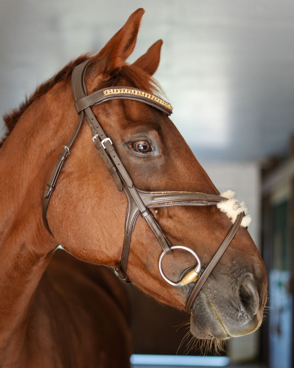 Hidden Flash!  Pro-fit Comfortable Bridle with Patent Noseband and Crystal Browband - Equine Exchange Tack Shop