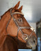Hidden Flash!  Pro-fit Comfortable Bridle with Patent Noseband and Crystal Browband - Equine Exchange Tack Shop