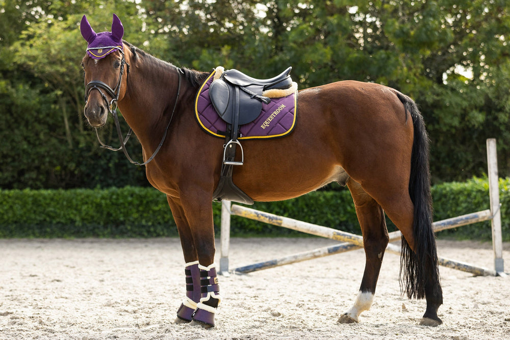 Dark Orchid Bell Boots - Equine Exchange Tack Shop