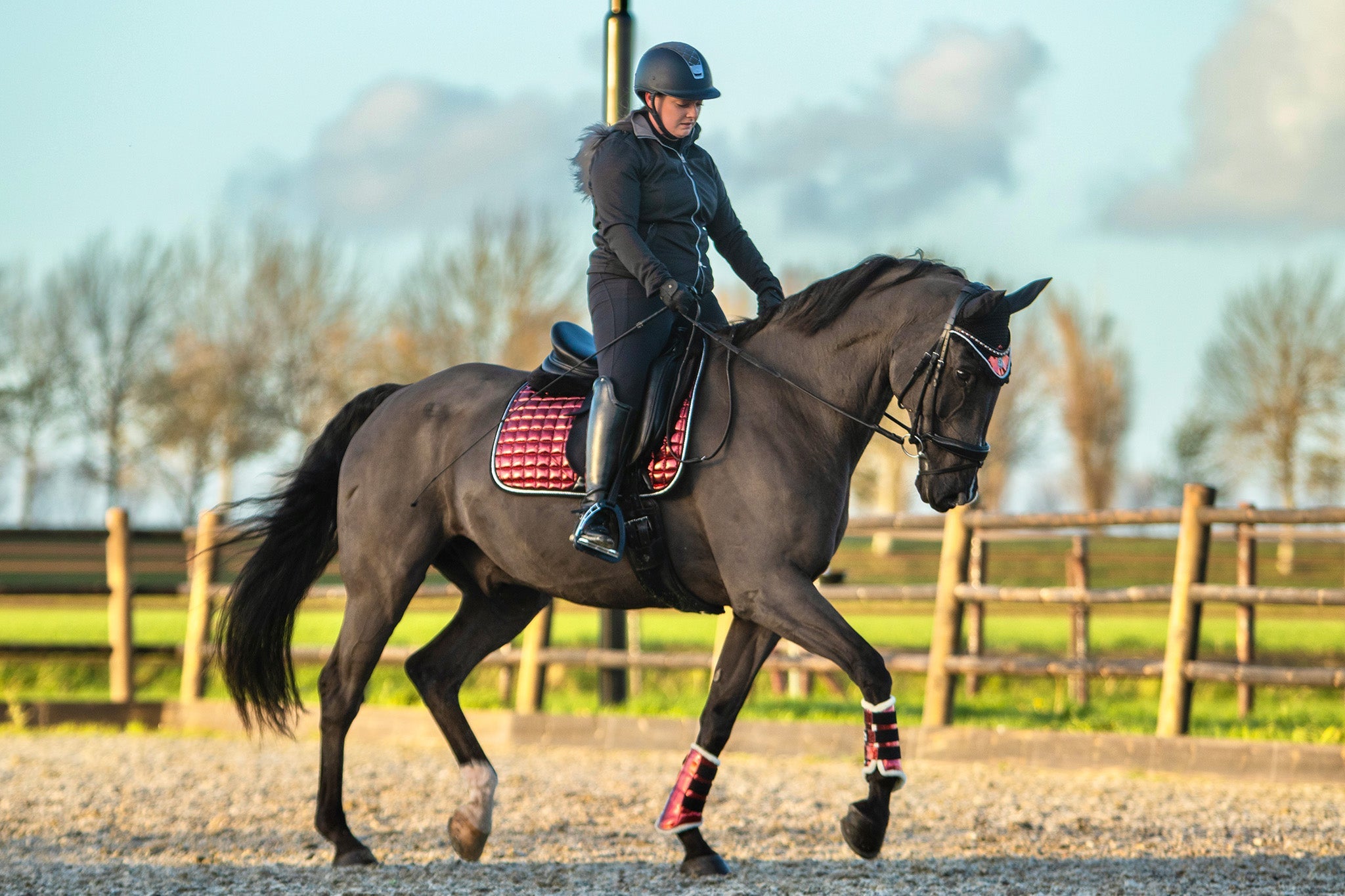 Electric Red Saddle Pad - Equine Exchange Tack Shop
