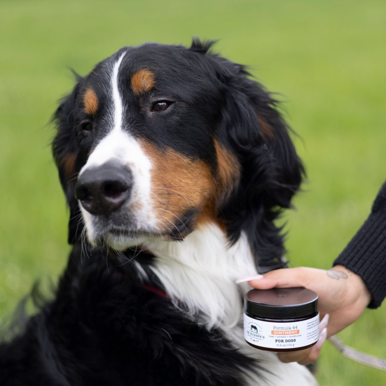 Formula 44 Ointment for Dogs - Equine Exchange Tack Shop