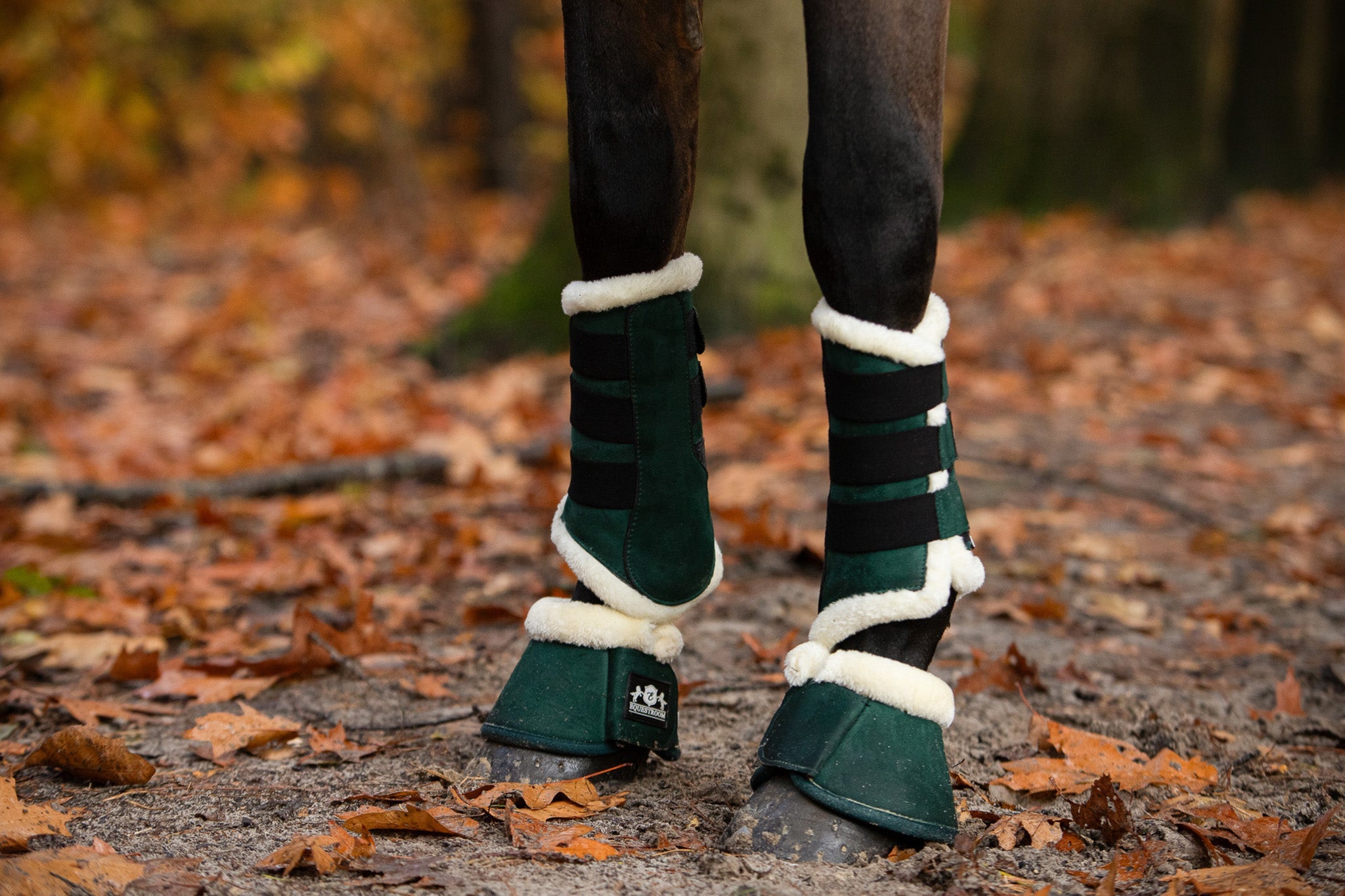 Pine Grove Saddle Pad Set - Equine Exchange Tack Shop