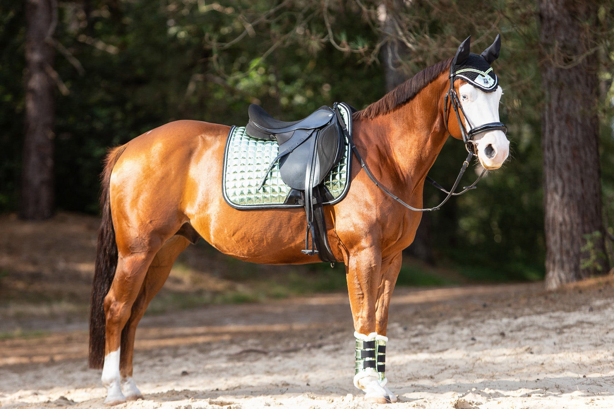 Green Lily Saddle Pad Set - Equine Exchange Tack Shop