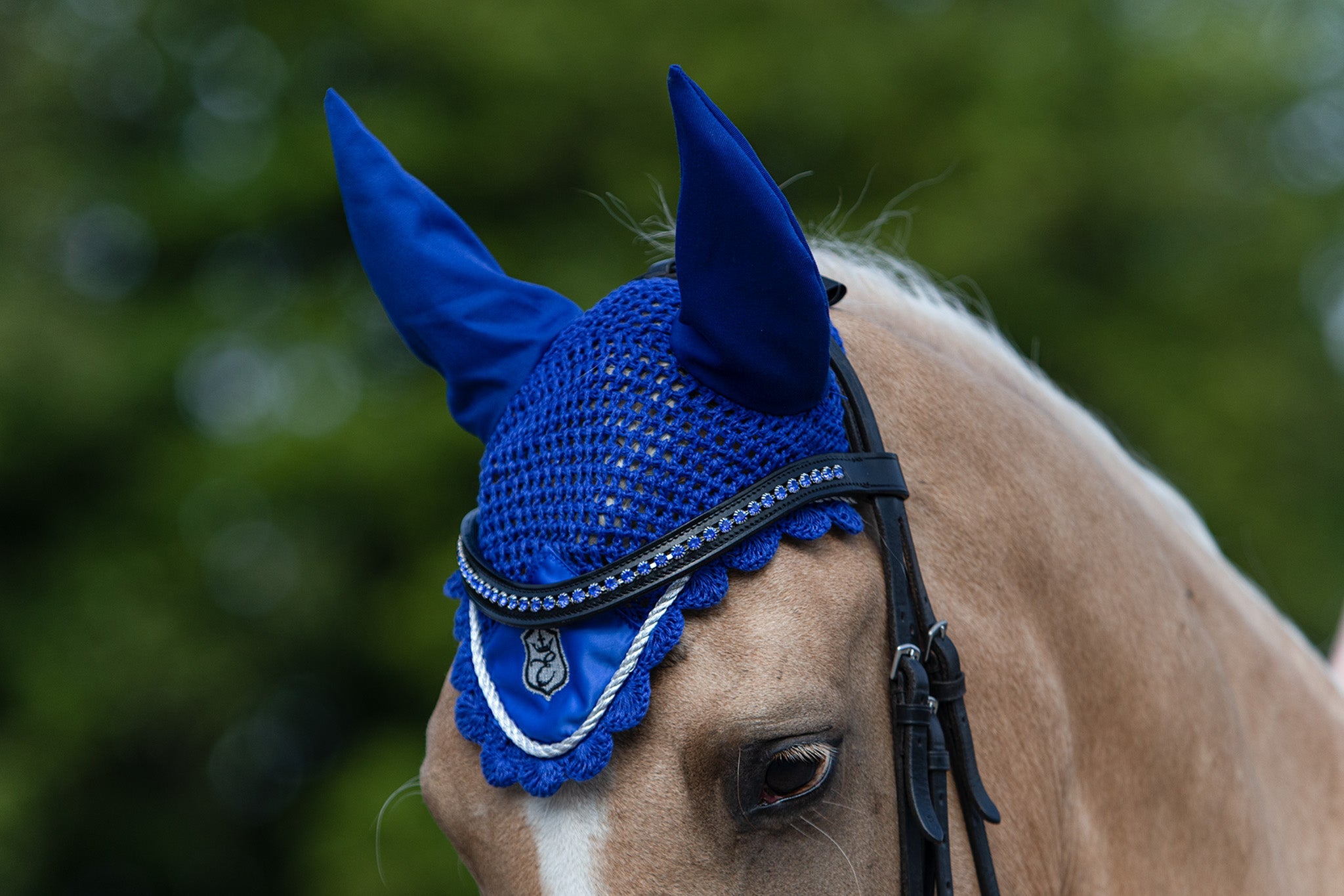 Majorelle Blue Browband - Equine Exchange Tack Shop
