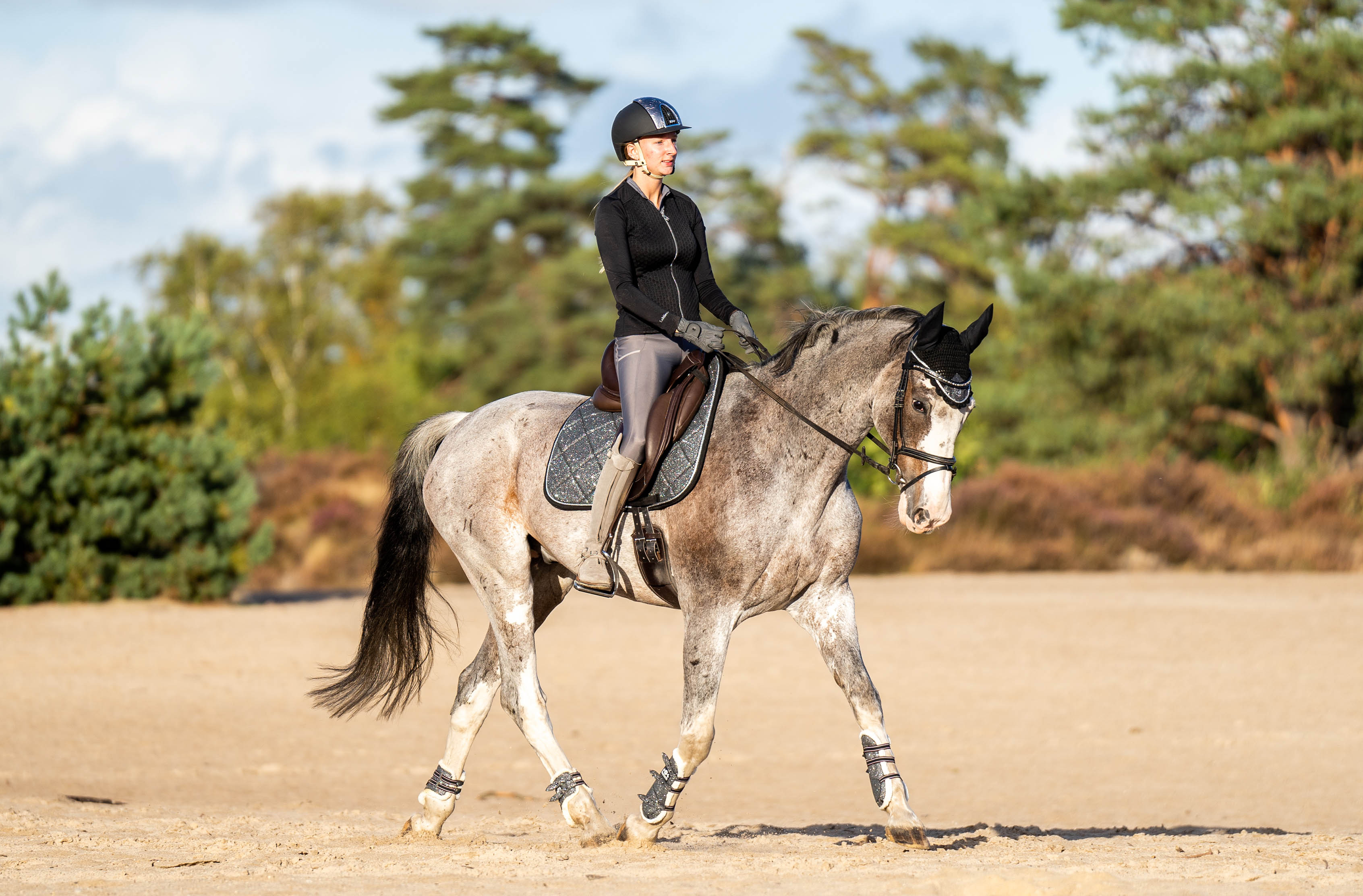 Stardust Grey Saddle Pad Set - Equine Exchange Tack Shop