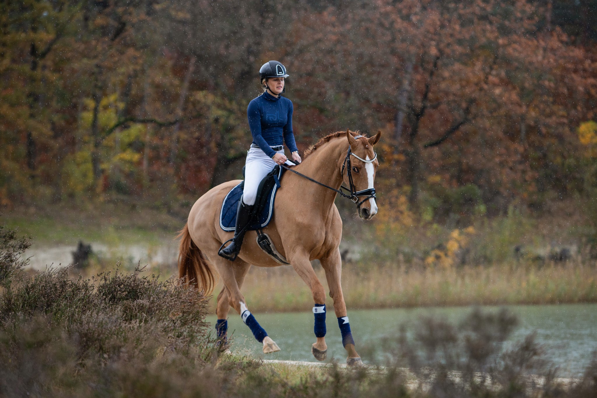 Blue Astra Saddle Pad Set - Equine Exchange Tack Shop