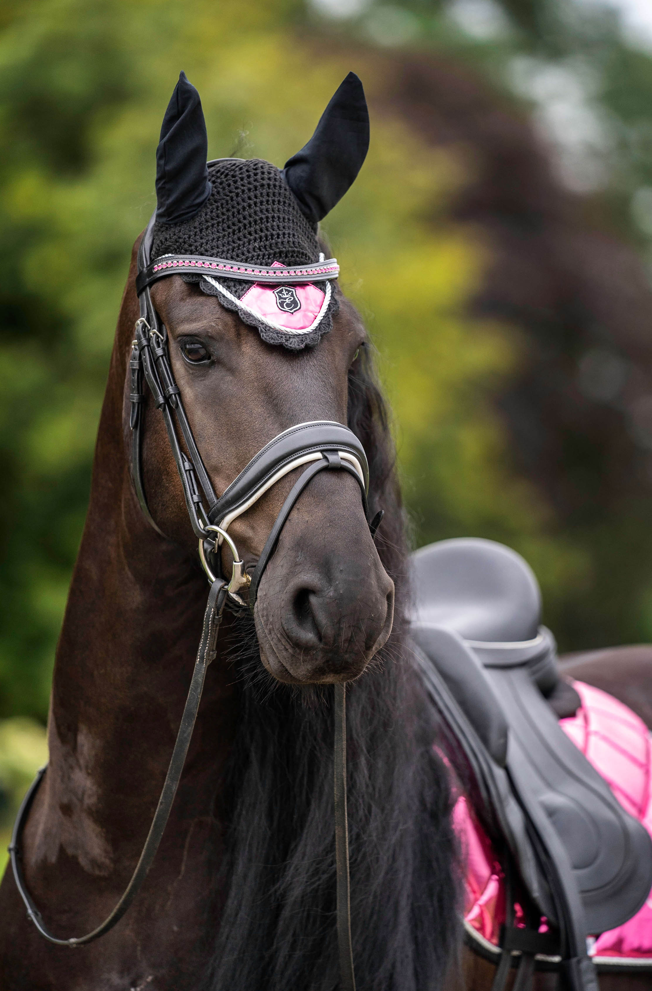 Neon Pink Browband - Equine Exchange Tack Shop