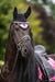Neon Pink Browband - Equine Exchange Tack Shop
